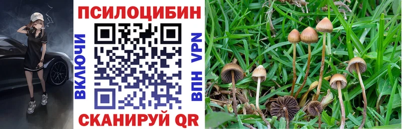 Псилоцибиновые грибы мухоморы  Слободской 