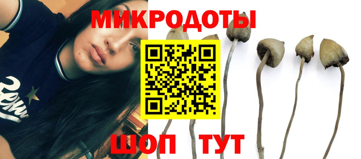 Слободской  Псилоцибиновые грибы Psilocybe  купить  цена  Вход с VPN 